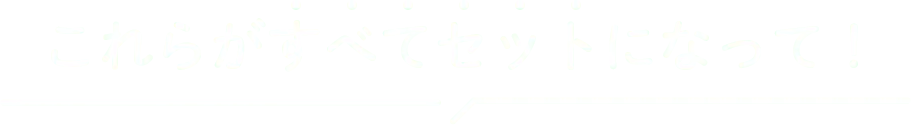 これらがすべてセットになって！